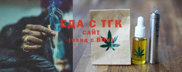 СК Ельня