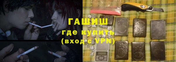 СК Ельня