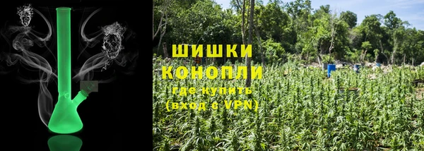 мдпв Дмитриев