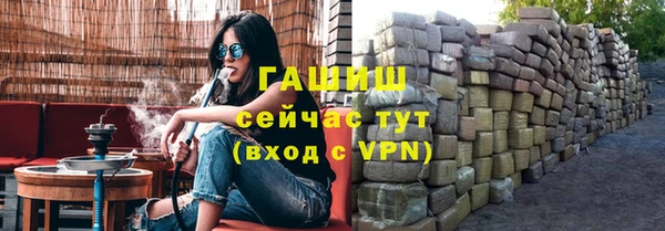 СК Ельня