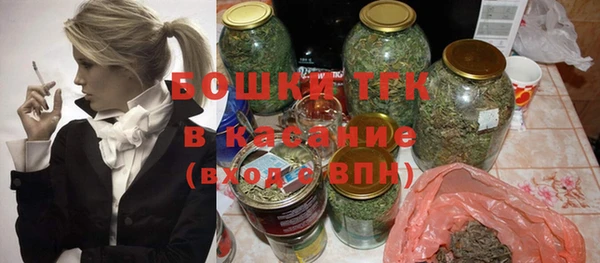 СК Ельня