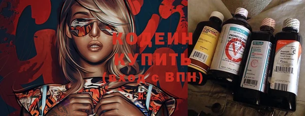 СК Ельня