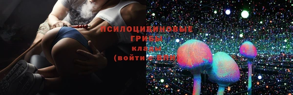 СК Ельня