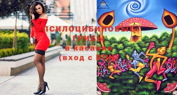 СК Ельня