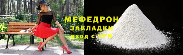 СК Ельня