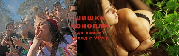 СК Ельня