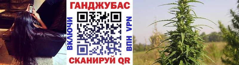 Купить где  Неман  Бошки Шишки тримм 